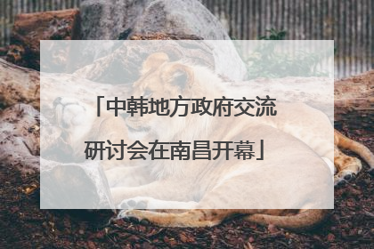 中韩地方政府交流研讨会在南昌开幕