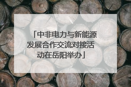 中非电力与新能源发展合作交流对接活动在岳阳举办