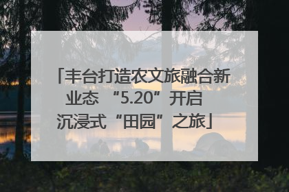 丰台打造农文旅融合新业态 “5.20”开启沉浸式“田园”之旅