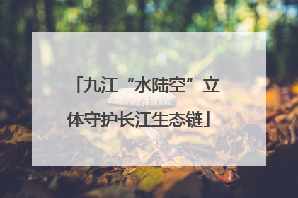 九江“水陆空”立体守护长江生态链