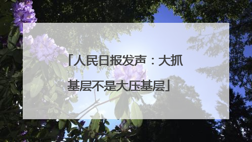 人民日报发声：大抓基层不是大压基层