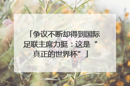 争议不断却得到国际足联主席力挺：这是“真正的世界杯”