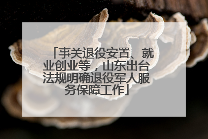 事关退役安置、就业创业等，山东出台法规明确退役军人服务保障工作