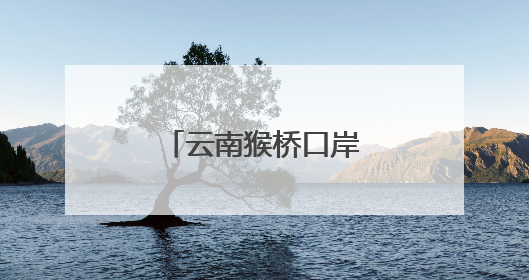 云南猴桥口岸：“小村庄”变“大市场”