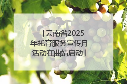 云南省2025年托育服务宣传月活动在曲靖启动