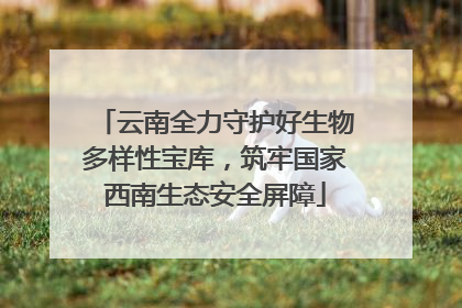 云南全力守护好生物多样性宝库，筑牢国家西南生态安全屏障