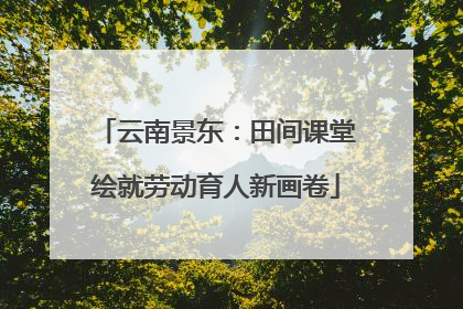 云南景东：田间课堂绘就劳动育人新画卷