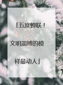 五度蝉联！文明淄博的模样最动人