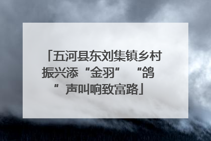 五河县东刘集镇乡村振兴添“金羽” “鸽”声叫响致富路