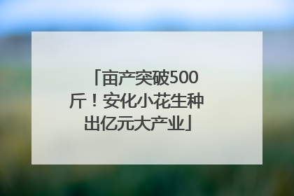 亩产突破500斤！安化小花生种出亿元大产业