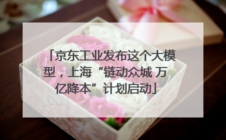 京东工业发布这个大模型，上海“链动众城 万亿降本”计划启动