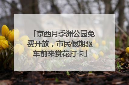 京西月季洲公园免费开放，市民假期驱车前来赏花打卡
