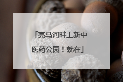 亮马河畔上新中医药公园！就在