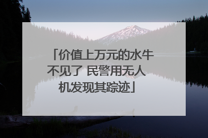 价值上万元的水牛不见了 民警用无人机发现其踪迹