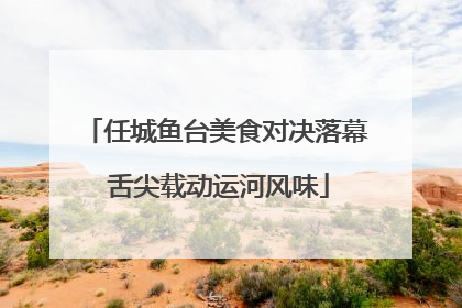 任城鱼台美食对决落幕 舌尖载动运河风味
