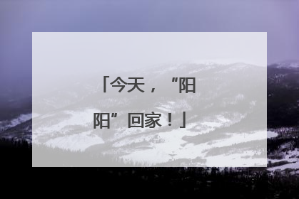 今天，“阳阳”回家！