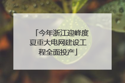 今年浙江迎峰度夏重大电网建设工程全面投产