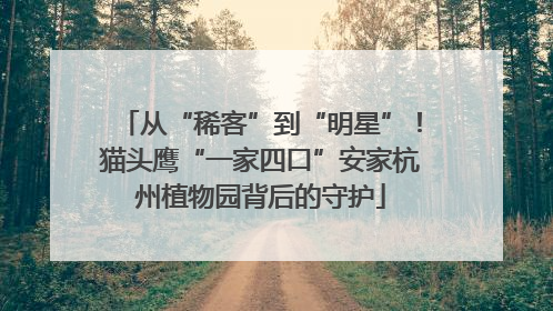 从“稀客”到“明星”！猫头鹰“一家四口”安家杭州植物园背后的守护