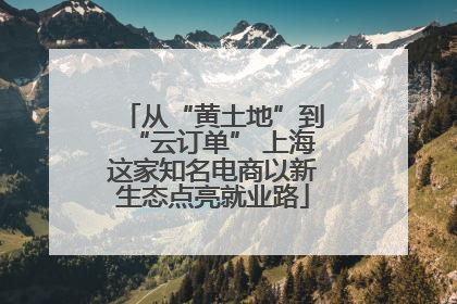 从“黄土地”到“云订单” 上海这家知名电商以新生态点亮就业路