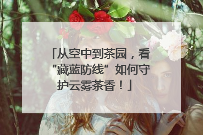 从空中到茶园，看“藏蓝防线”如何守护云雾茶香！