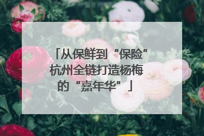 从保鲜到“保险” 杭州全链打造杨梅的“嘉年华”