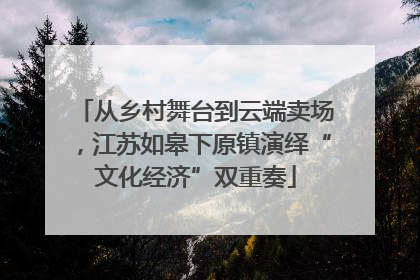 从乡村舞台到云端卖场，江苏如皋下原镇演绎“文化经济”双重奏