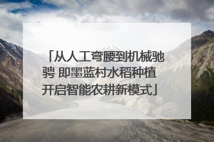 从人工弯腰到机械驰骋 即墨蓝村水稻种植开启智能农耕新模式