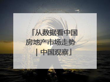 从数据看中国房地产市场走势｜中国观察