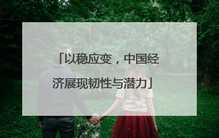 以稳应变，中国经济展现韧性与潜力