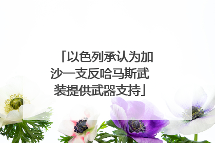 以色列承认为加沙一支反哈马斯武装提供武器支持