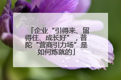企业“引得来、留得住、成长好”，普陀“营商引力场”是如何炼就的