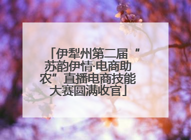 伊犁州第二届“苏韵伊情·电商助农”直播电商技能大赛圆满收官