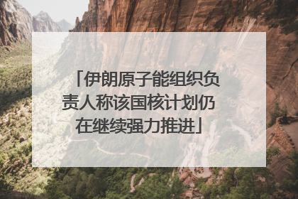 伊朗原子能组织负责人称该国核计划仍在继续强力推进