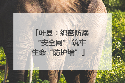 叶县：织密防溺“安全网” 筑牢生命“防护墙”