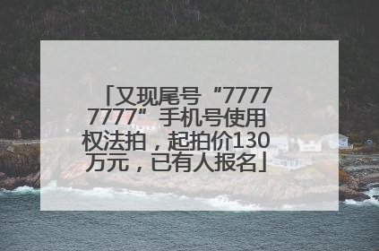又现尾号“77777777”手机号使用权法拍，起拍价130万元，已有人报名