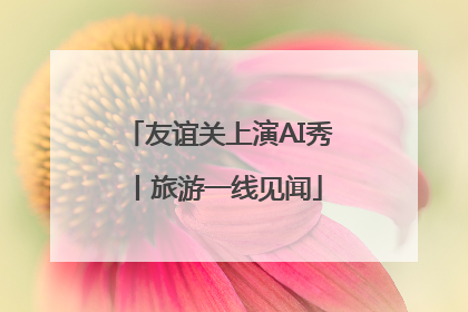 友谊关上演AI秀丨旅游一线见闻