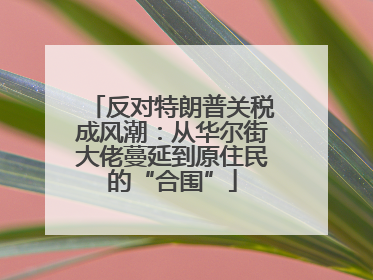反对特朗普关税成风潮：从华尔街大佬蔓延到原住民的“合围”
