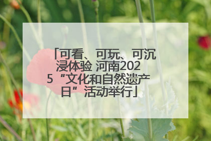 可看、可玩、可沉浸体验 河南2025“文化和自然遗产日”活动举行