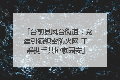 台前县凤台街道：党建引领织密防火网 干群携手共护家园安