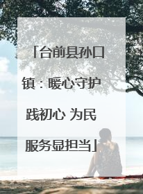 台前县孙口镇：暖心守护践初心 为民服务显担当