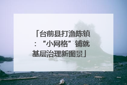 台前县打渔陈镇：“小网格”铺就基层治理新图景
