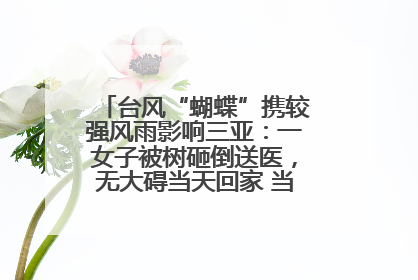 台风“蝴蝶”携较强风雨影响三亚：一女子被树砸倒送医，无大碍当天回家 当地已紧急清障