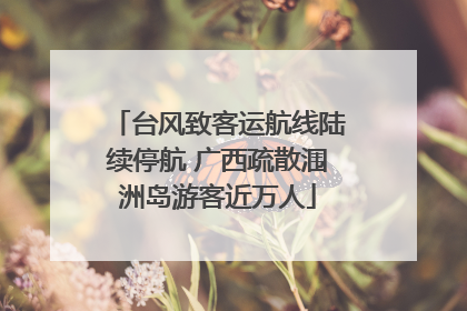 台风致客运航线陆续停航 广西疏散涠洲岛游客近万人