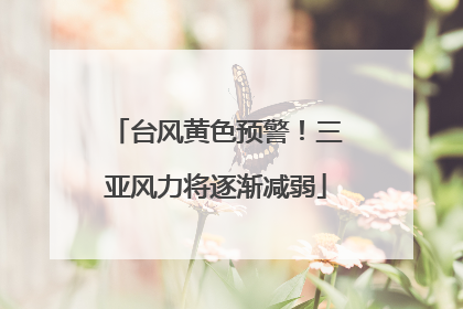 台风黄色预警！三亚风力将逐渐减弱