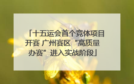 十五运会首个竞体项目开赛 广州赛区“高质量办赛”进入实战阶段