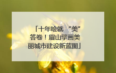 十年绘就 “美” 答卷！眉山擘画美丽城市建设新蓝图