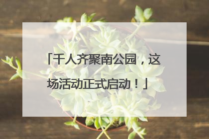 千人齐聚南公园，这场活动正式启动！