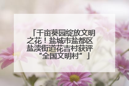 千亩葵园绽放文明之花！盐城市盐都区盐渎街道花吉村获评“全国文明村”