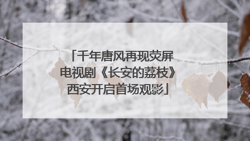 千年唐风再现荧屏 电视剧《长安的荔枝》西安开启首场观影