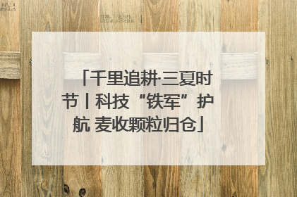 千里追耕·三夏时节丨科技“铁军”护航 麦收颗粒归仓